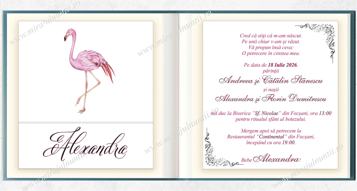 Invitatie BOTEZ Digitala - cod 6027 - MirajulNuntii.ro