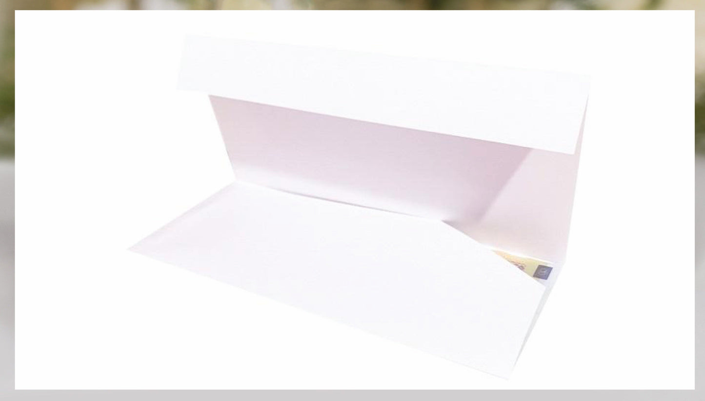 Plic de bani-botez cod Miraj 1502 - MirajulNuntii.ro