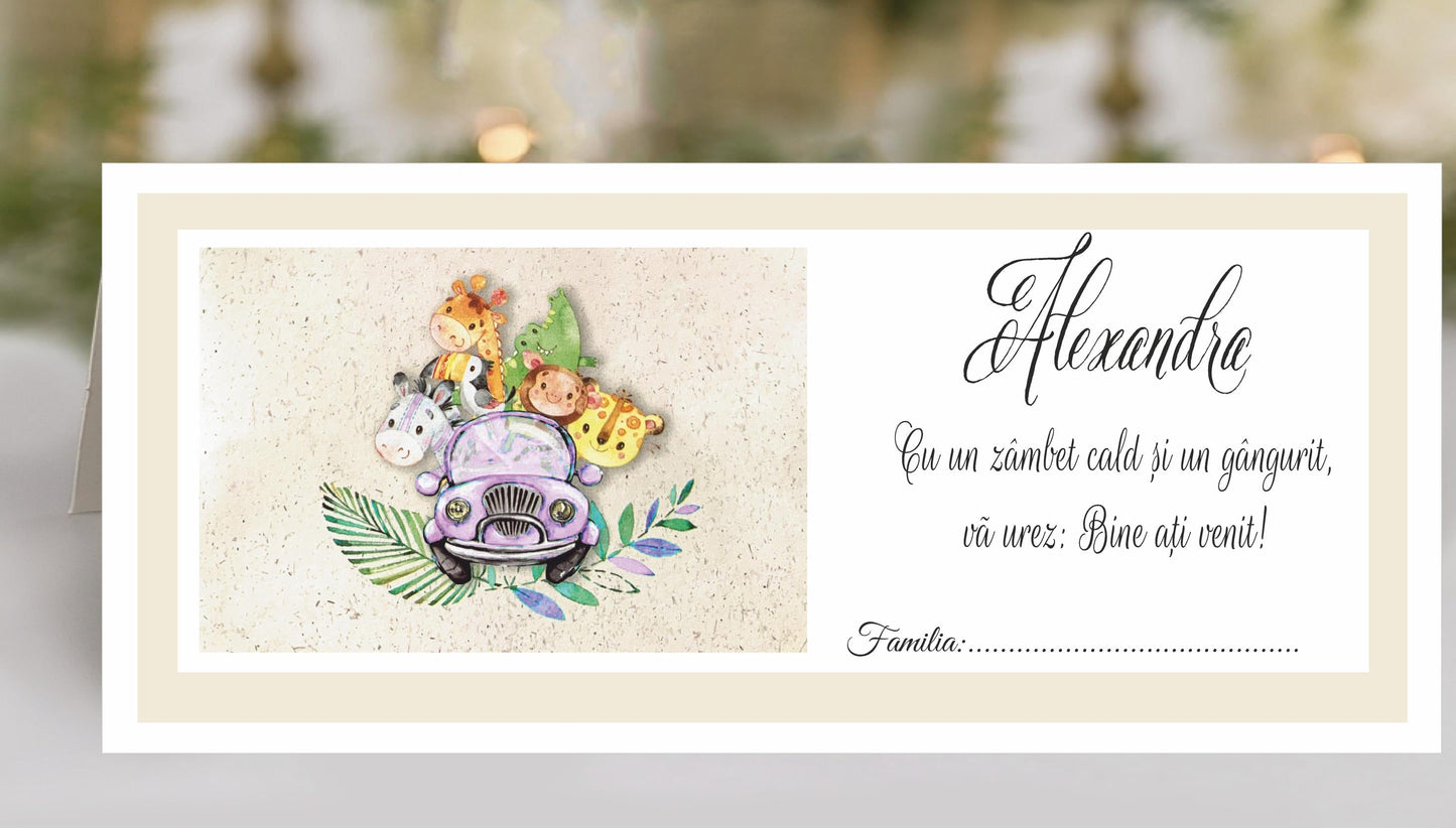 Plic de bani-botez cod "Deluxe MNC 7601" - MirajulNuntii.ro