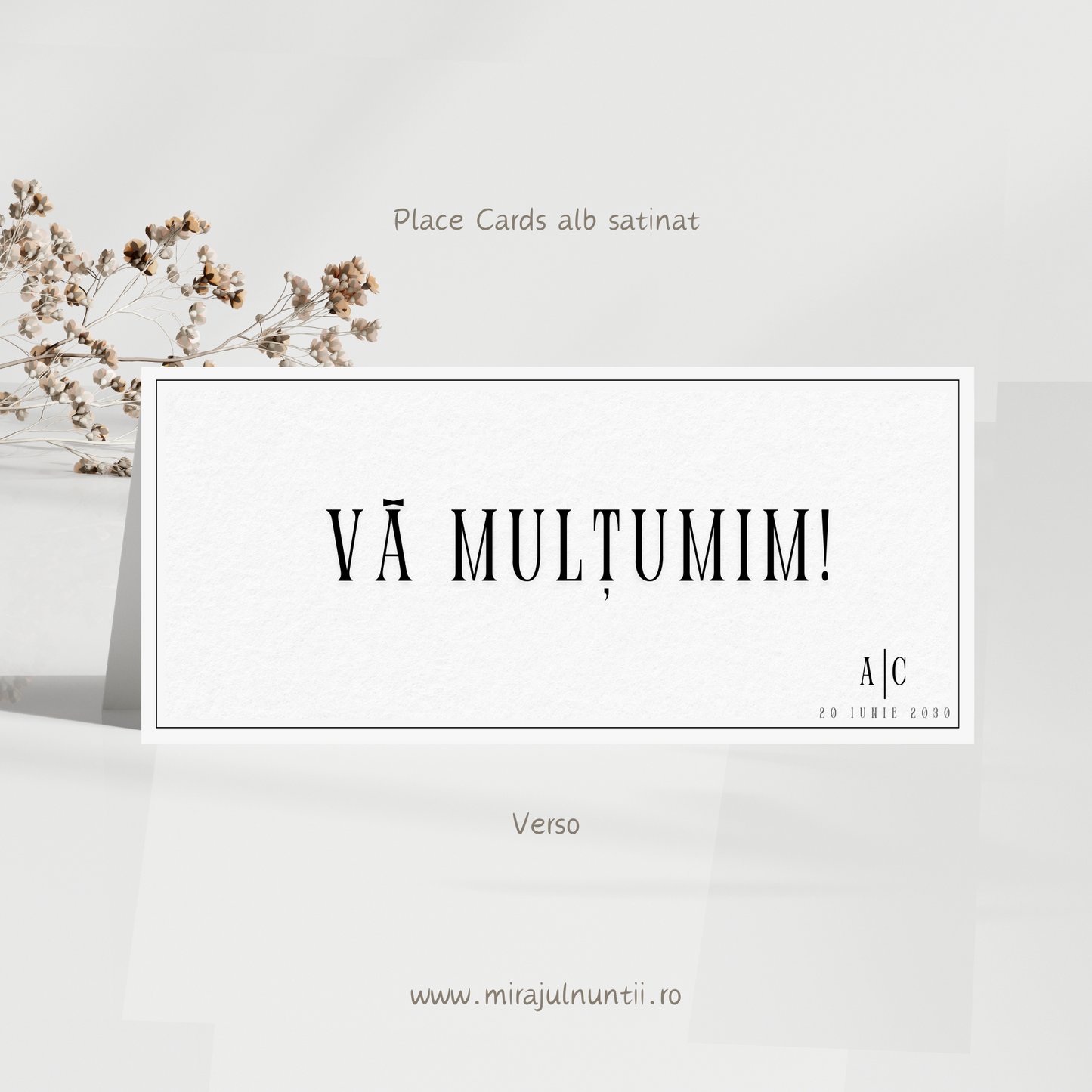 Mapa de bani (plic) cod Simplitate Rafinată S. XX1