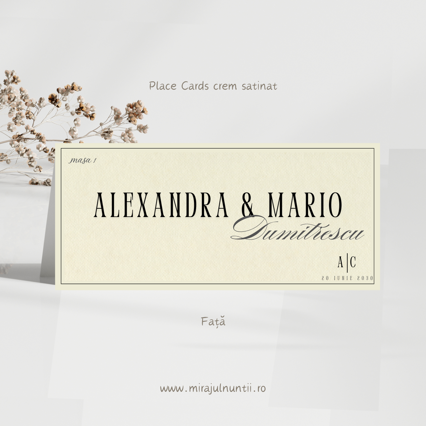 Mapa de bani (plic) cod Simplitate Rafinată S. XX1