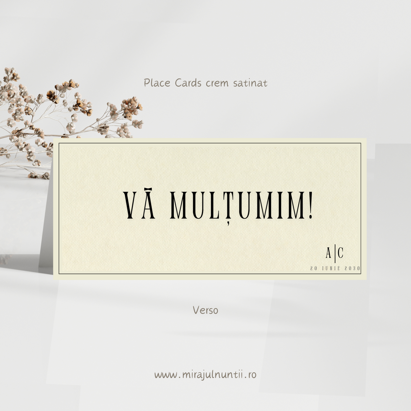 Mapa de bani (plic) cod Simplitate Rafinată S. XX1