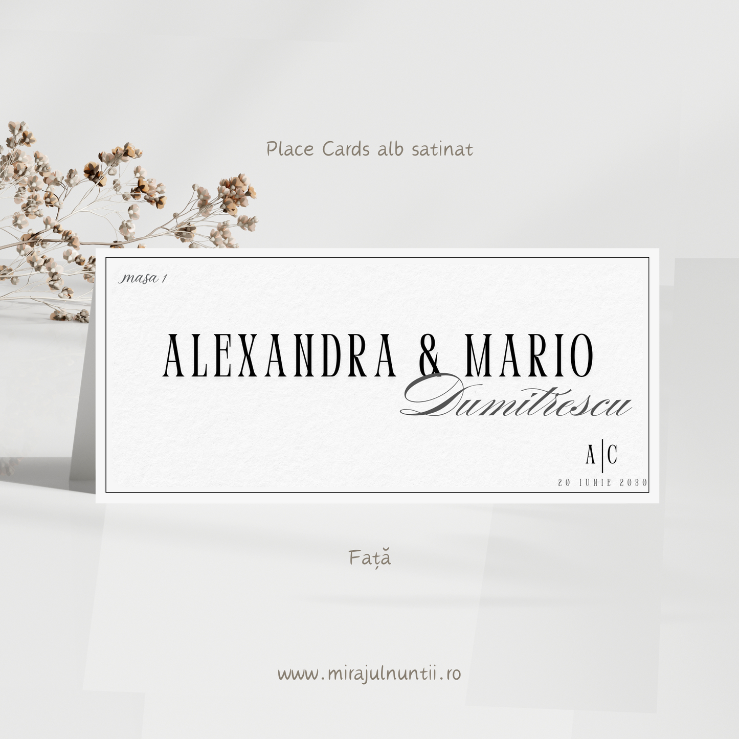 Mapa de bani (plic) cod Simplitate Rafinată S. XX1