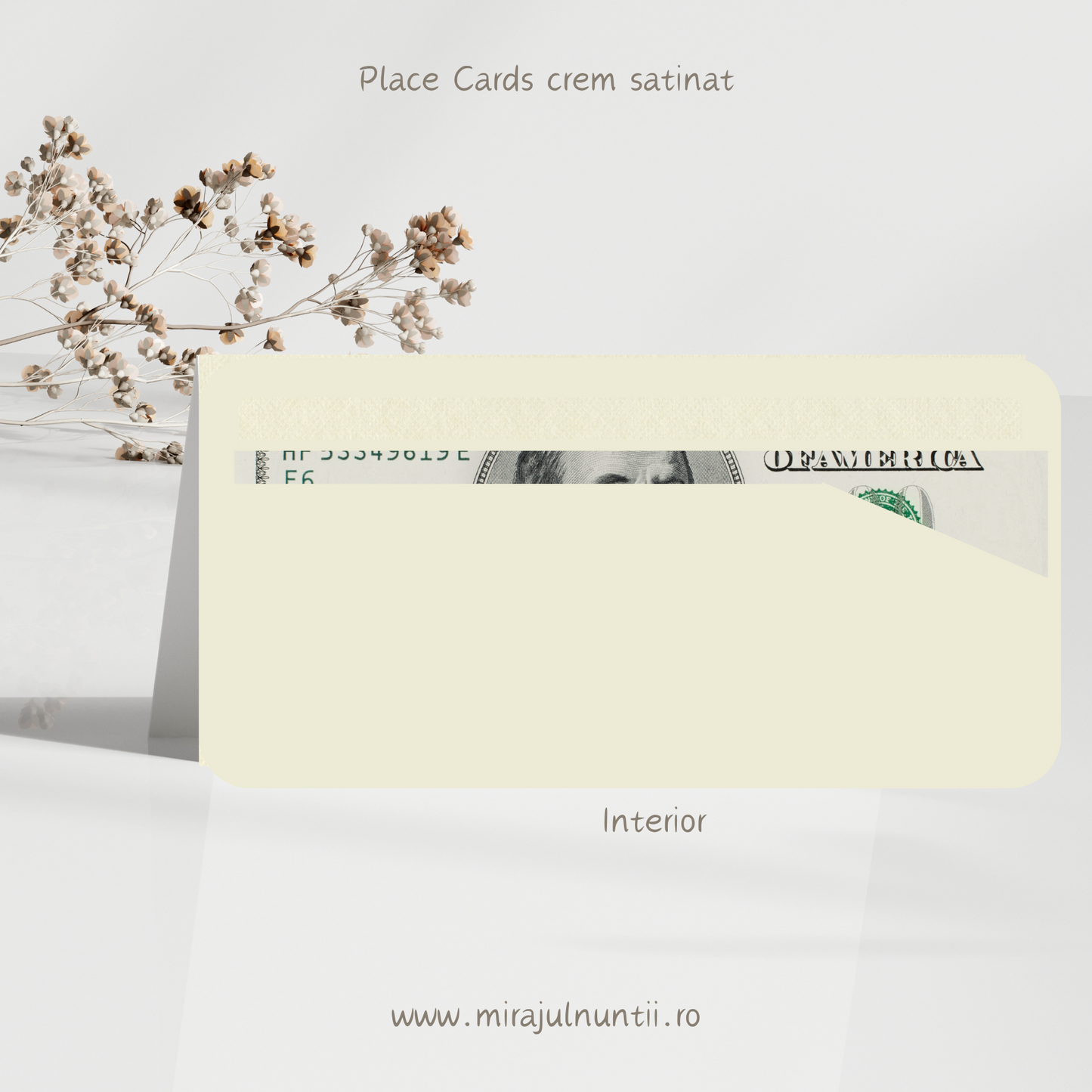 Mapa de bani (plic) cod Simplitate Rafinată S. XX1