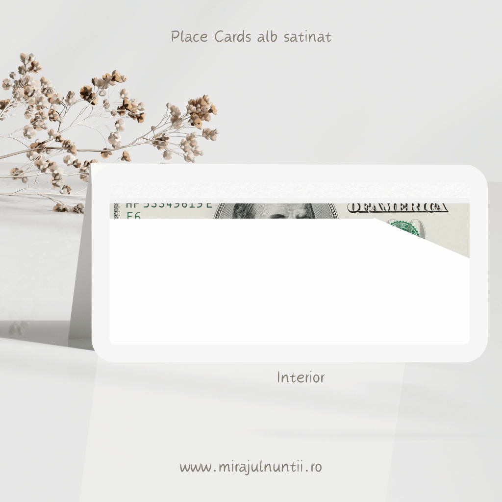 Plic de bani cod Magnific C.9 - MirajulNuntii.ro
