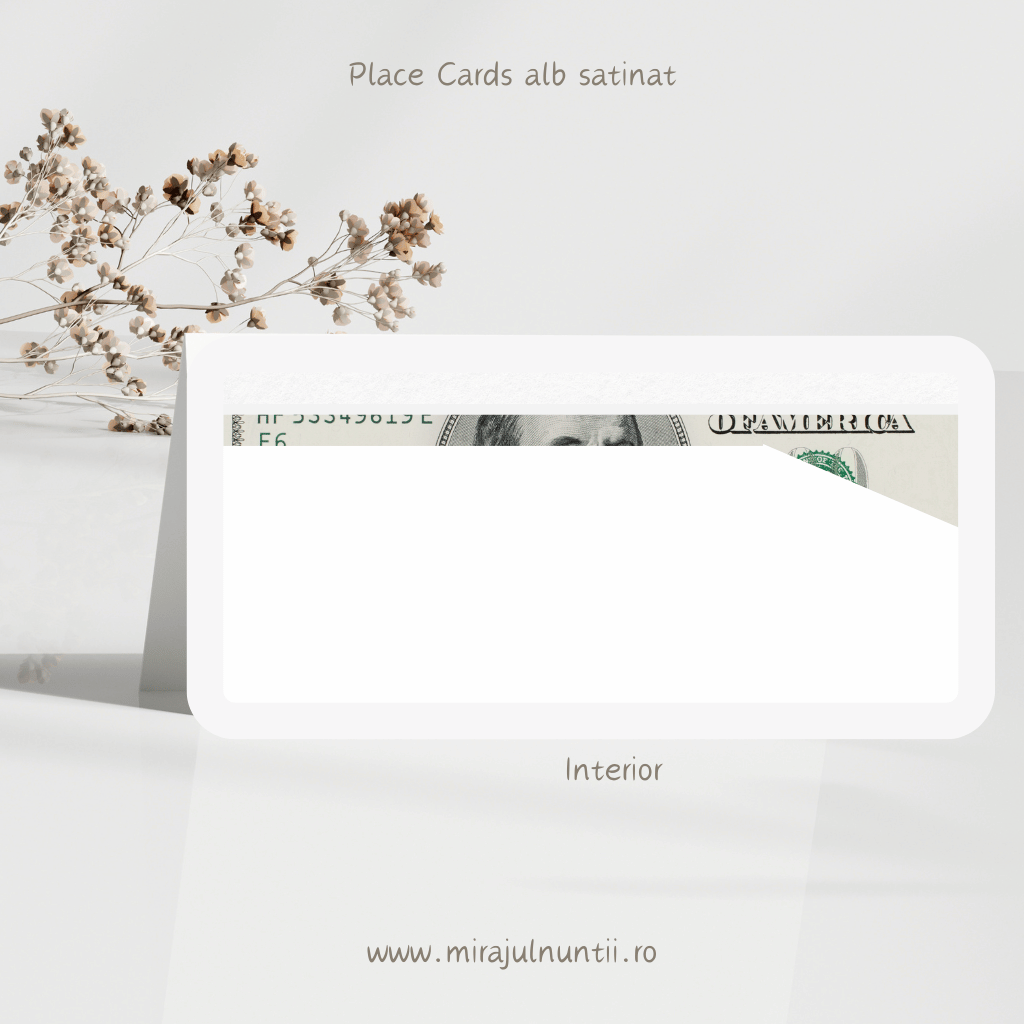 Plic de bani cod Magnific B. 7600 - MirajulNuntii.ro
