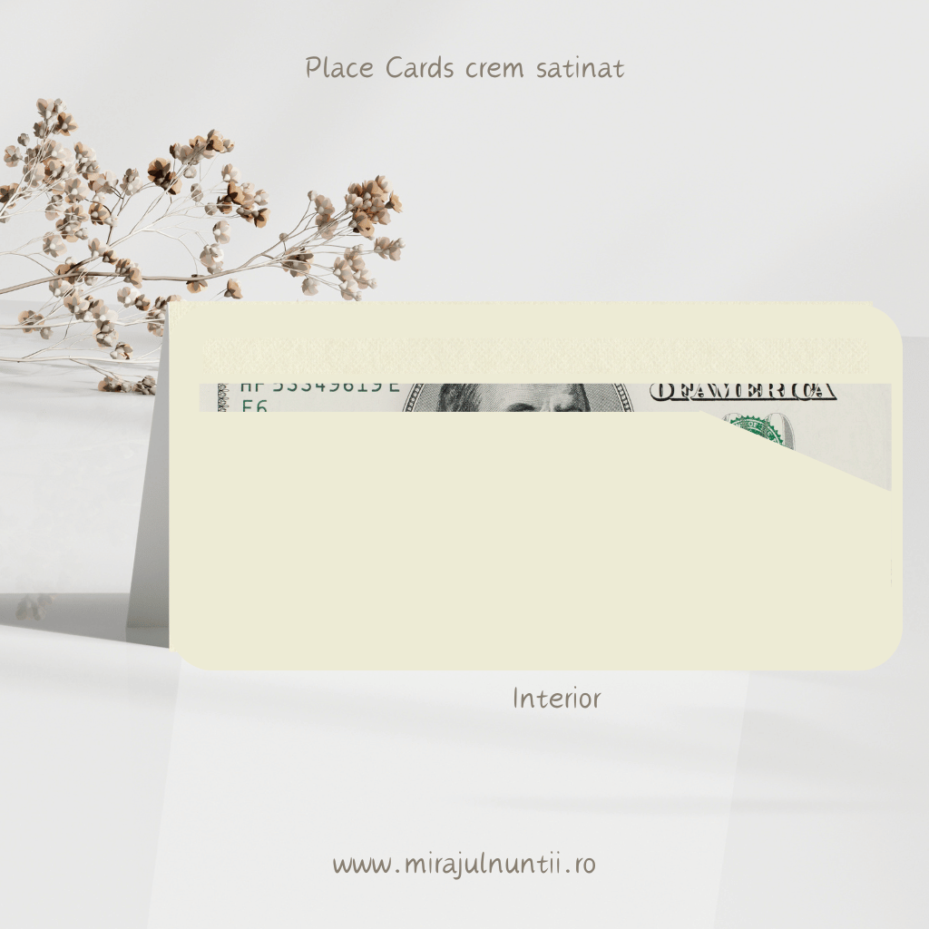 Plic de bani cod Magnific C.1 - MirajulNuntii.ro