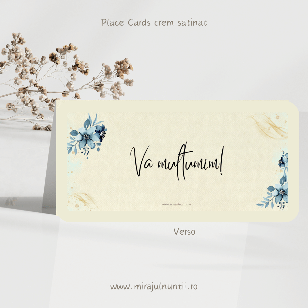 Plic de bani cod Magnific C.5 - MirajulNuntii.ro