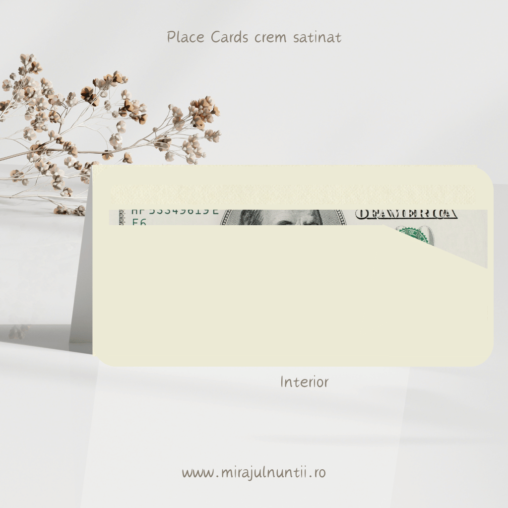Plic de bani cod Magnific B.4-20004