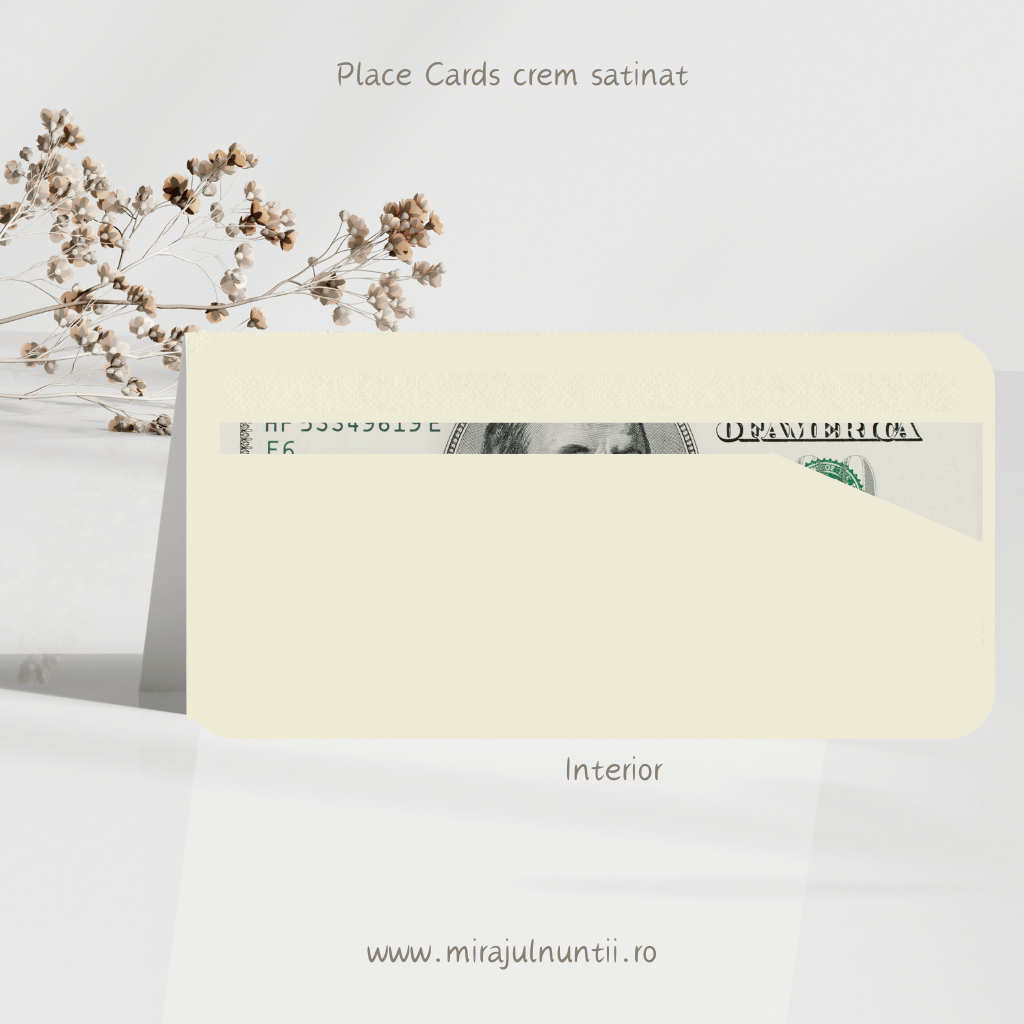 Plic de bani botez personalizat cu grafica clientului