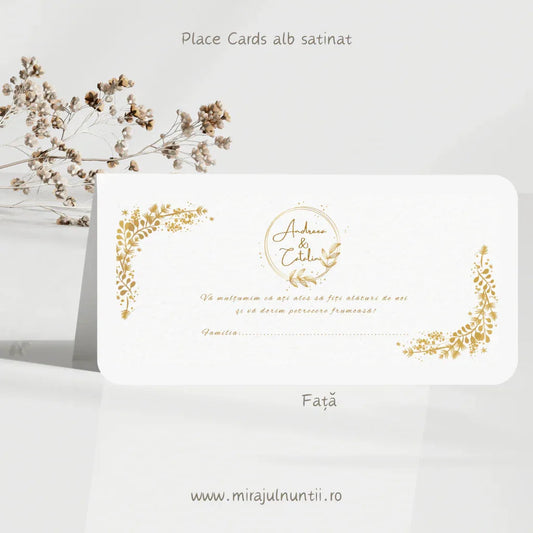 Ghid de Alegere a Plicurilor de Bani pentru Nuntă în 2026