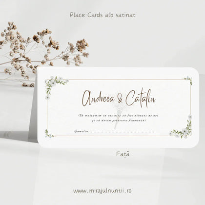 Plic de bani cod Magnific C.10