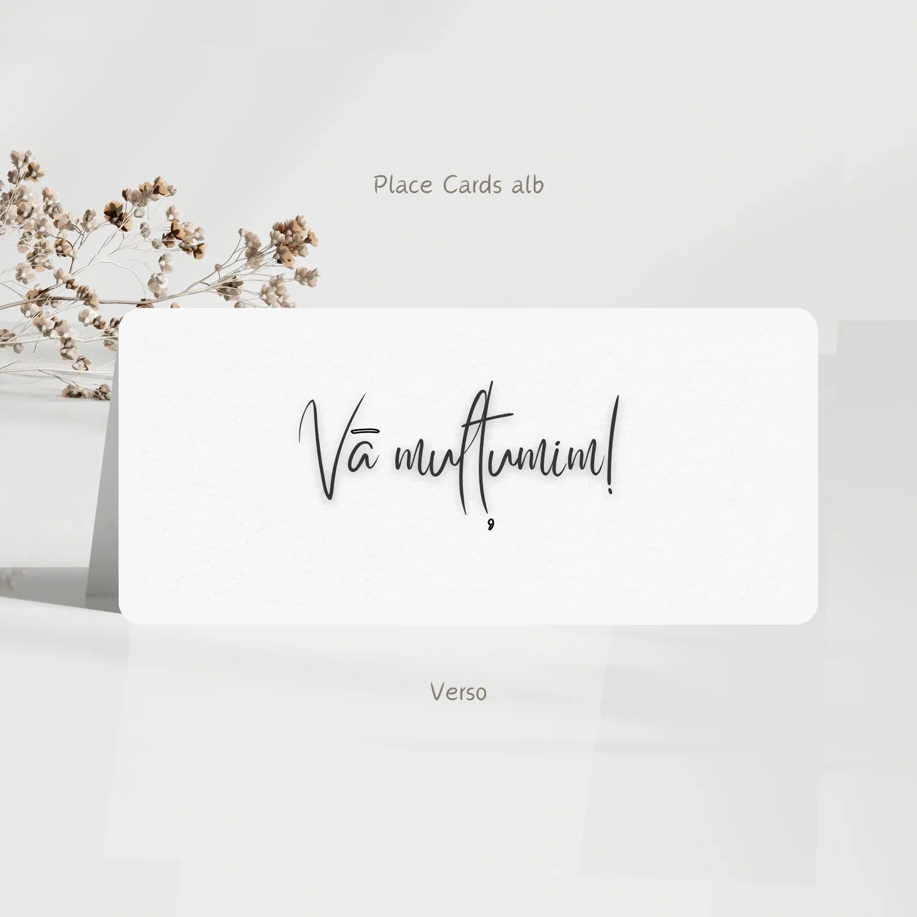 Plic de Bani Nuntă „Greenery Serenity” Set 50 buc. – Cod: PB.01 - MirajulNuntii.ro