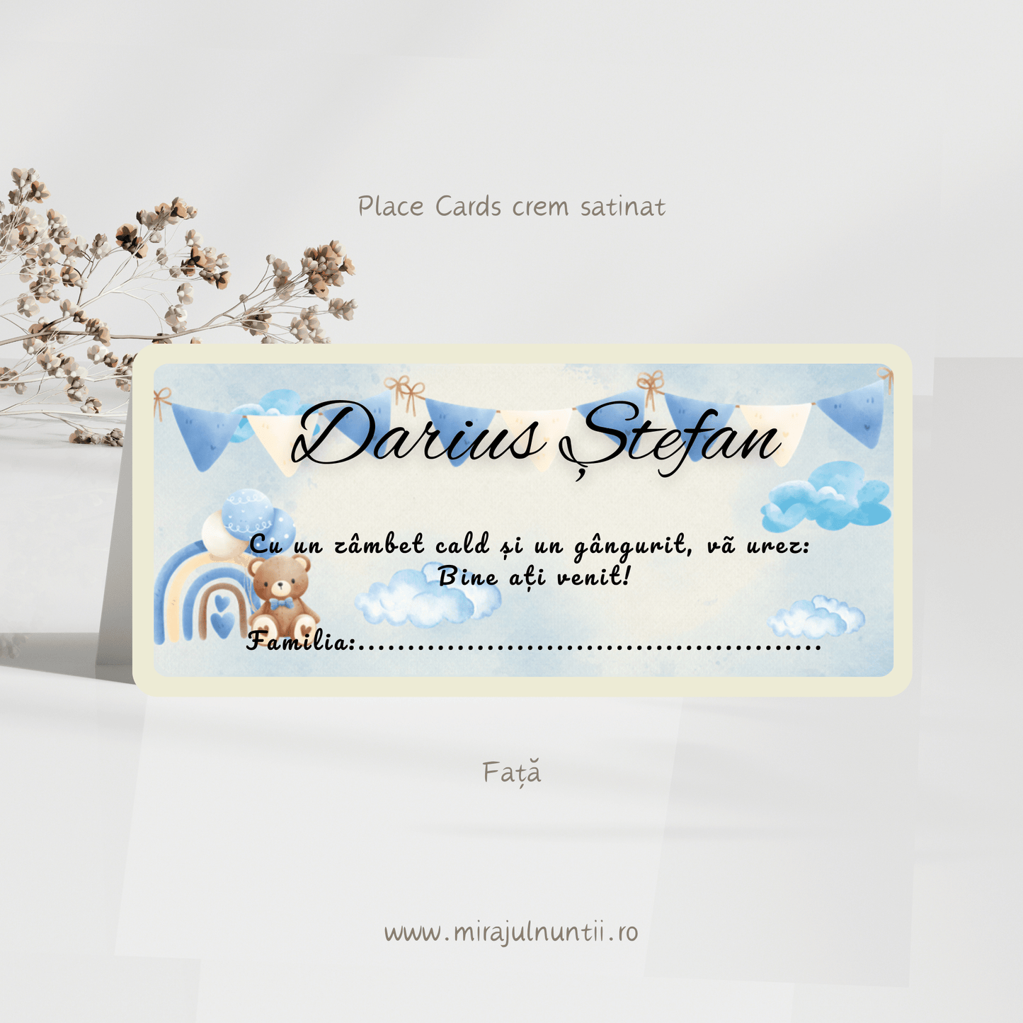 Plic de bani cod Magnific B.12-20012