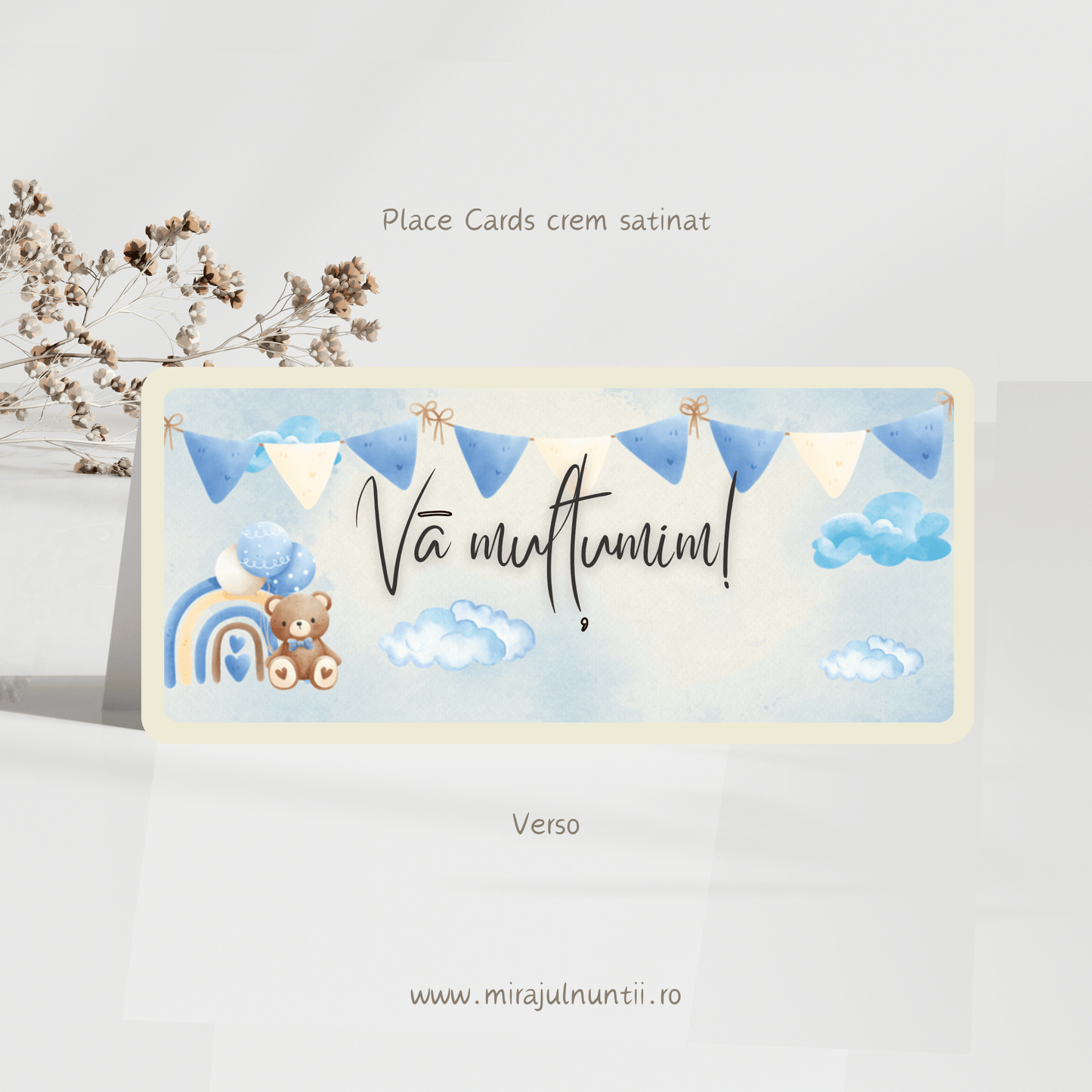 Plic de bani cod Magnific B.12-20012