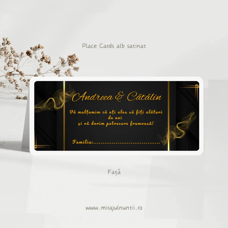 Plic de bani cod Magnific C.6-10006