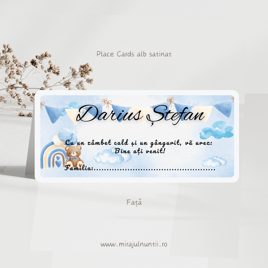 Plic de bani cod Magnific B.12-20012