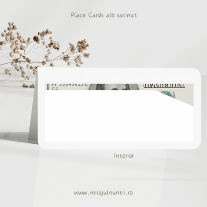 Plic de bani cod Magnific B.12-20012