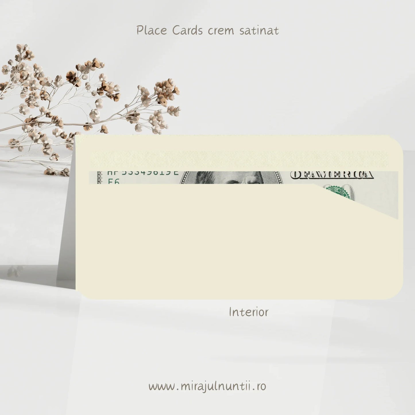 Plic de bani cod Magnific B.25-20025 - MirajulNuntii.ro