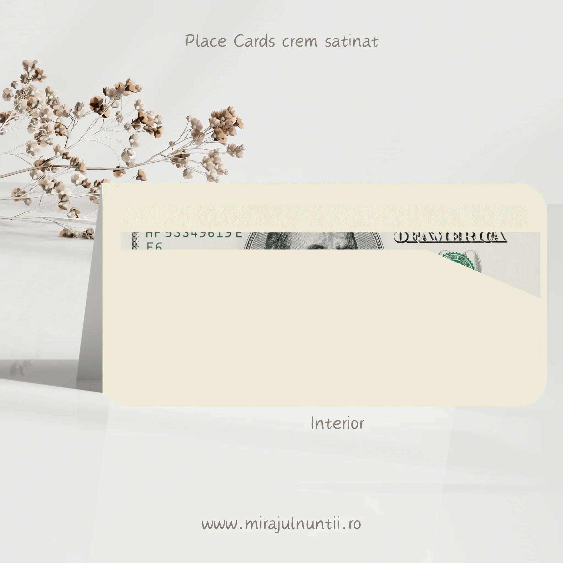 Plic de bani cod Magnific B.25-20025 - MirajulNuntii.ro