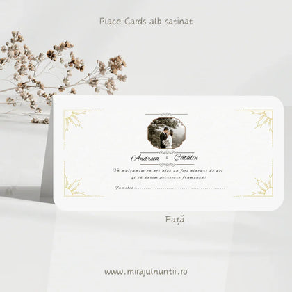 Plic de bani cod Magnific C.2