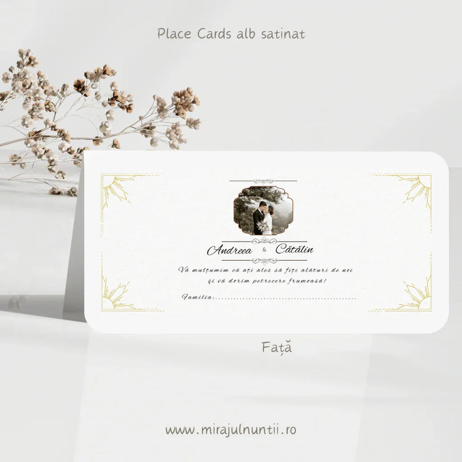 Plic de bani cod Magnific C.2