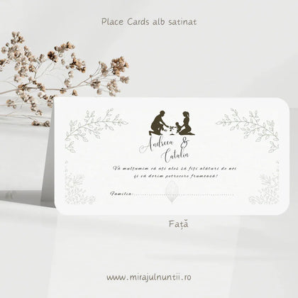 Plic de bani cod Magnific C.15 - nunta si botez