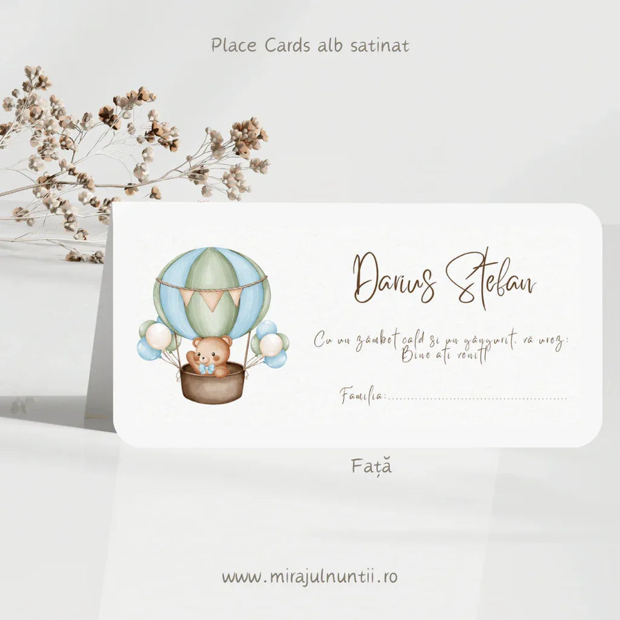 Plic de bani cod Magnific B.2-20026