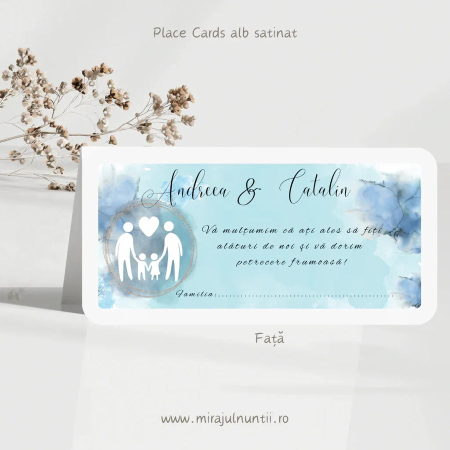 Plic de bani cod Magnific C.17