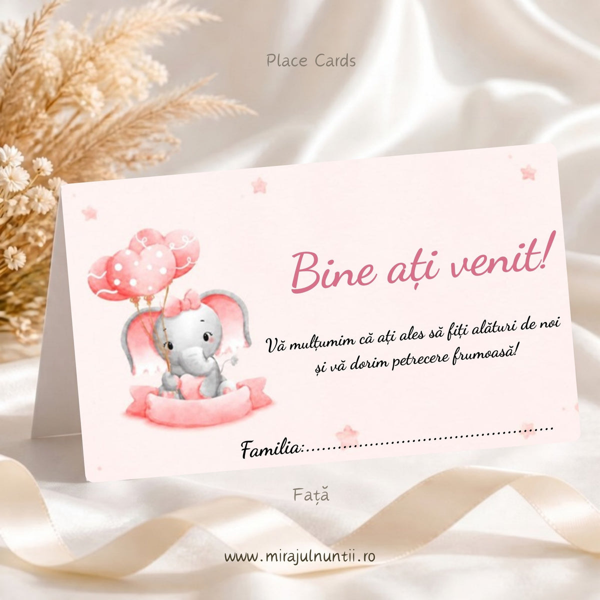 Fața plicului de bani pentru botez din setul de 25 buc., cu elefănțel gri, baloane inimioare roz, „Bine ați venit!”, mesaj de mulțumire și rândul „Familia” – Place Cards 20013