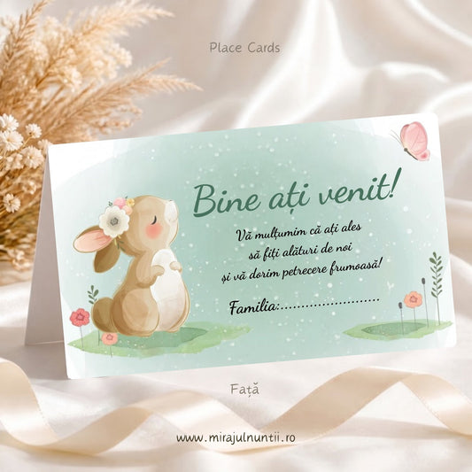 Set 25 plicuri de bani botez B. 6036, fața cu „Bine ați venit!”, mesaj de mulțumire și rândul Familia, iepuraș în acuarelă și fluturaș roz pe fond verde mentă