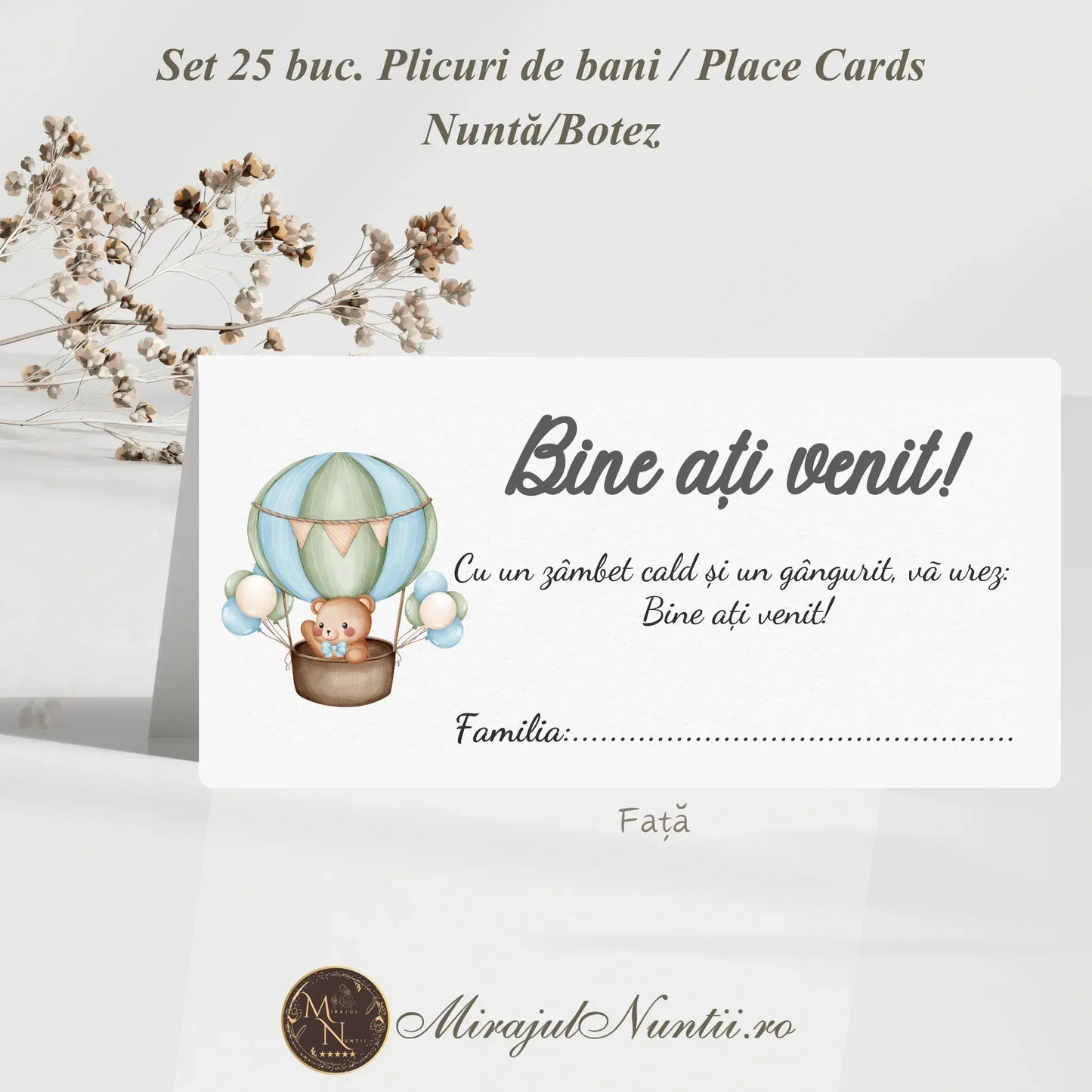 Set de 25 plicuri de bani și place cards pentru botez băiat cu ilustrație ursuleț în balon cu aer cald, carton premium mat Mirajul Nunții.