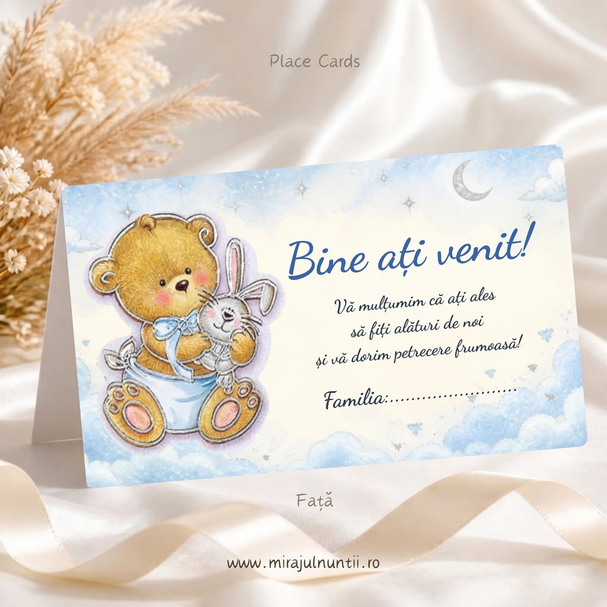 Set 25 plicuri de bani botez B.37-20037, față: ursuleț de pluș cu fundiță bleu și iepuraș alb în stânga, pe cer în acuarelă bleu, „Bine ați venit!” cu albastru, mesajul de mulțumire și rândul Familia