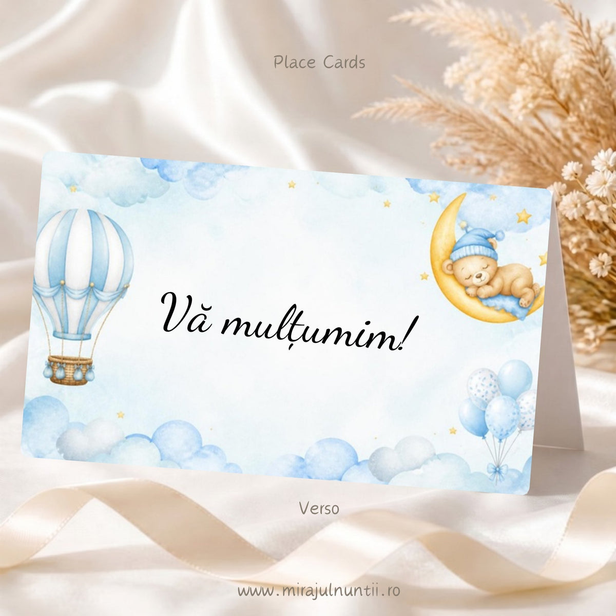 Set 25 plicuri de bani botez cu ursuleț pe lună și baloane cu aer cald, bleu, spate cu „Vă mulțumim!”, Place Cards 20020