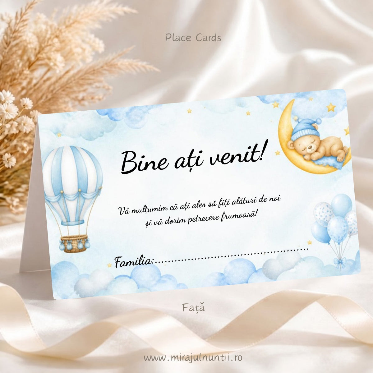 Set 25 plicuri de bani botez cu ursuleț pe lună și baloane cu aer cald, bleu, față cu „Bine ați venit!”, mesaj de mulțumire și rândul Familia, Place Cards 20020