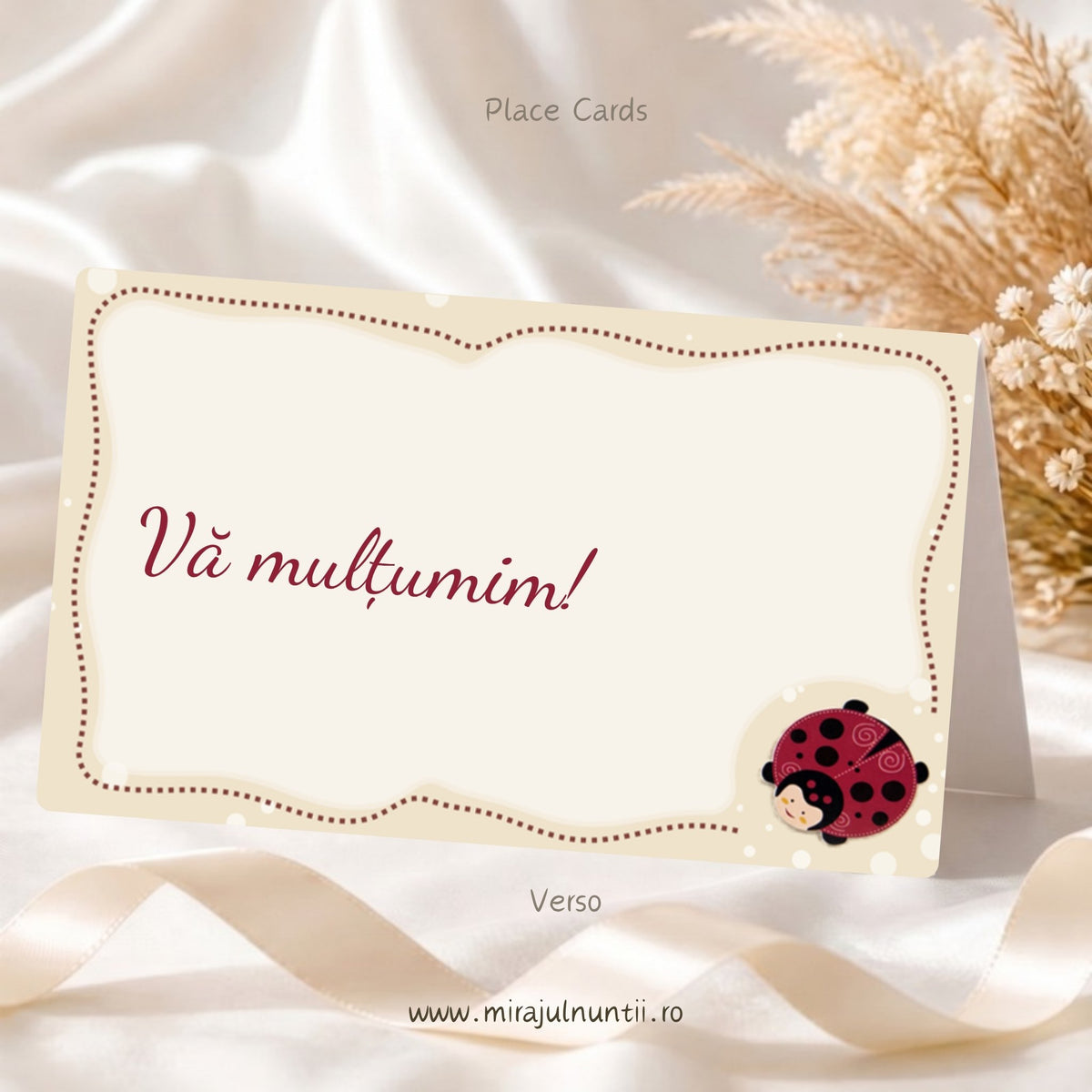 Spatele plicurilor de bani din setul de 50 buc. cu mesajul Vă mulțumim! și o buburuză mică, ramă crem, cod B. 7501