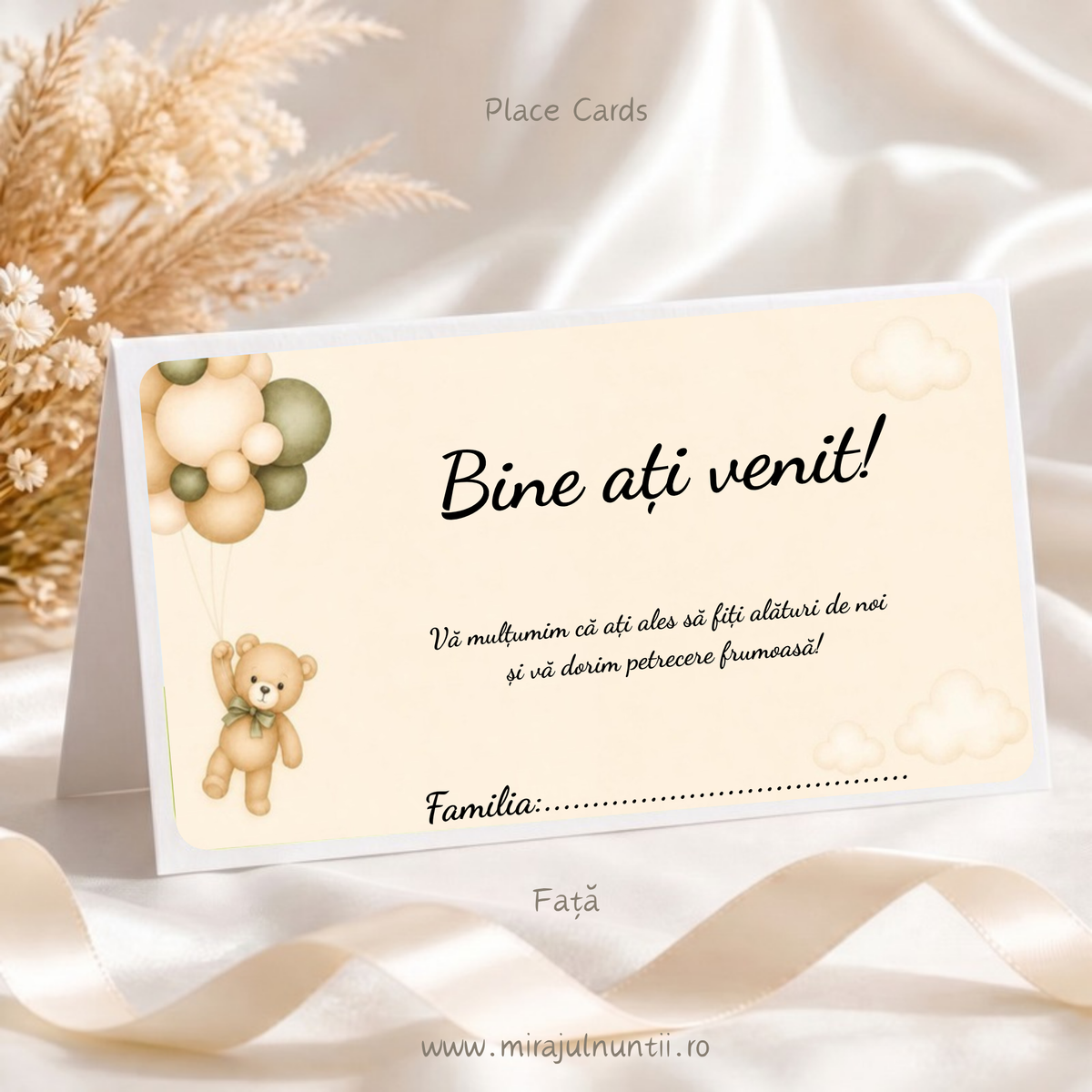 Set 50 plicuri de bani botez Place Cards 9002, față: ursuleț cu baloane bej și verde oliv, Bine ați venit! și rândul Familia.