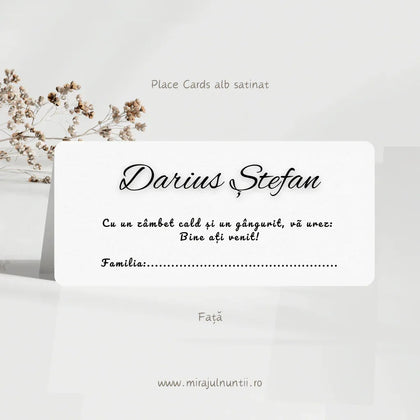 Plic de bani cod Magnific B.2-20002